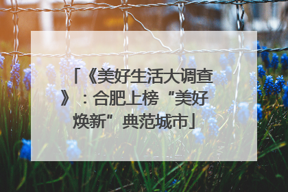 《美好生活大调查》：合肥上榜“美好焕新”典范城市