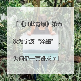 《只此青绿》第五次为宁波“淬墨”，为何仍一票难求？