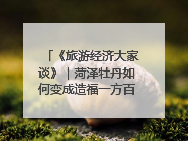 《旅游经济大家谈》｜菏泽牡丹如何变成造福一方百姓的“产业之花”“富民之花”？