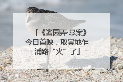 《酱园弄·悬案》今日首映，取景地乍浦路“火”了