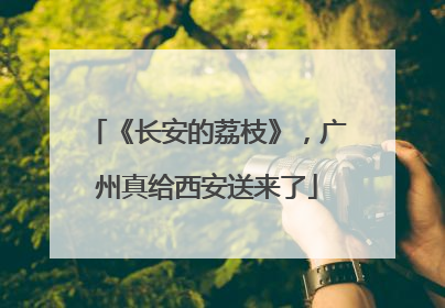 《长安的荔枝》，广州真给西安送来了