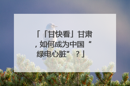 「甘快看」甘肃，如何成为中国“绿电心脏”？