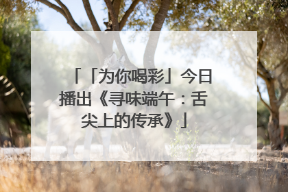 「为你喝彩」今日播出《寻味端午：舌尖上的传承》
