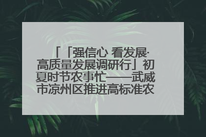 「强信心 看发展·高质量发展调研行」初夏时节农事忙——武威市凉州区推进高标准农田建设见闻