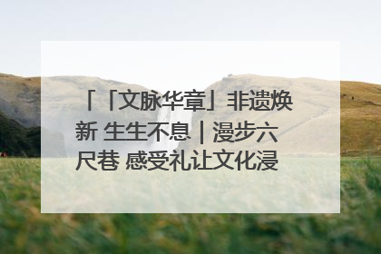 「文脉华章」非遗焕新 生生不息｜漫步六尺巷 感受礼让文化浸润的“巷”往生活
