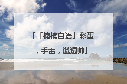 「楠楠自语」彩蛋，手雷，邋遢帅