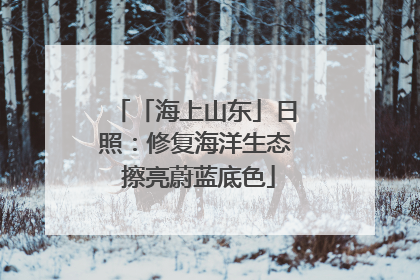 「海上山东」日照：修复海洋生态 擦亮蔚蓝底色