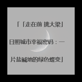 「走在前 挑大梁」日照城市幸福密码：一片盐碱地的绿色蝶变