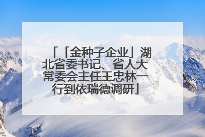 「金种子企业」湖北省委书记、省人大常委会主任王忠林一行到依瑞德调研
