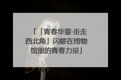「青春华章·重走西北角」闪耀在博物馆里的青春力量