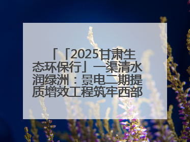 「2025甘肃生态环保行」一渠清水润绿洲：景电二期提质增效工程筑牢西部生态安全屏障