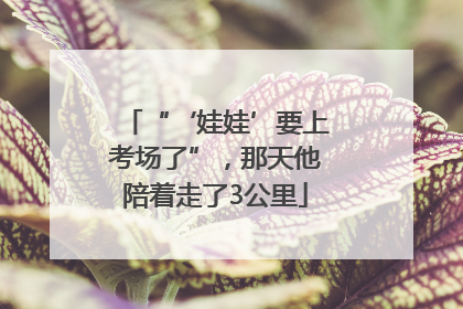 “‘娃娃’要上考场了”，那天他陪着走了3公里