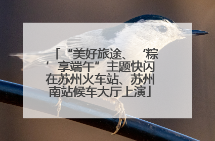 “美好旅途、‘粽’享端午”主题快闪在苏州火车站、苏州南站候车大厅上演