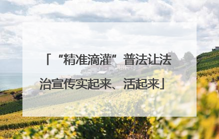“精准滴灌”普法让法治宣传实起来、活起来