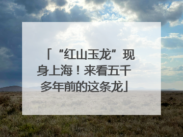 “红山玉龙”现身上海！来看五千多年前的这条龙
