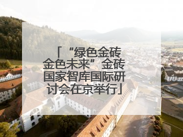 “绿色金砖 金色未来”金砖国家智库国际研讨会在京举行