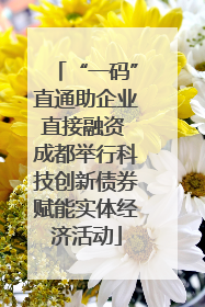 “一码”直通助企业直接融资 成都举行科技创新债券赋能实体经济活动