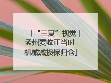 “三夏”视觉｜孟州麦收正当时 机械减损保归仓