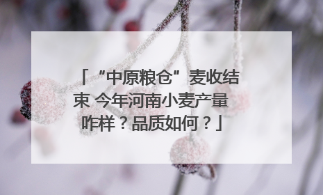 “中原粮仓”麦收结束 今年河南小麦产量咋样？品质如何？