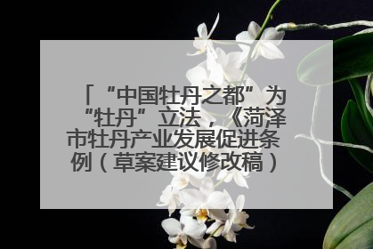 “中国牡丹之都”为“牡丹”立法，《菏泽市牡丹产业发展促进条例（草案建议修改稿）》公开征求意见