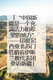 “中国新疆是一个充满活力和希望的地方”——印度尼西亚北苏门答腊省伊斯兰教代表团参访新疆