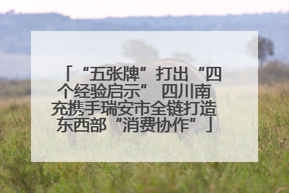 “五张牌”打出“四个经验启示” 四川南充携手瑞安市全链打造东西部“消费协作”