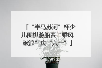 “半马苏河”杯少儿围棋游船赛“乘风破浪”庆“六一”