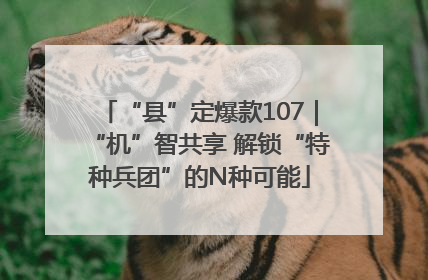 “县”定爆款107｜“机”智共享 解锁“特种兵团”的N种可能