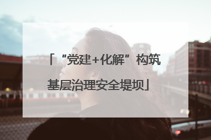 “党建+化解”构筑基层治理安全堤坝