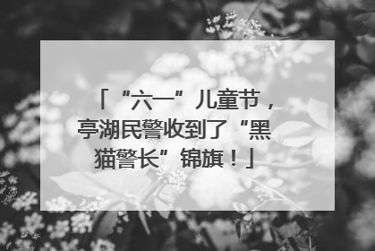 “六一”儿童节，亭湖民警收到了“黑猫警长”锦旗！