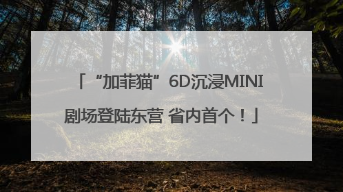 “加菲猫”6D沉浸MINI剧场登陆东营 省内首个！