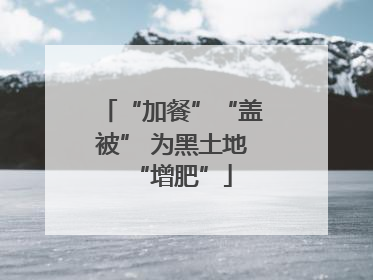 “加餐”“盖被” 为黑土地“增肥”