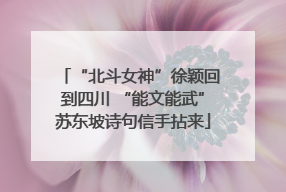 “北斗女神”徐颖回到四川 “能文能武”苏东坡诗句信手拈来