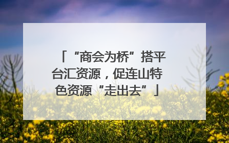 “商会为桥”搭平台汇资源，促连山特色资源“走出去”
