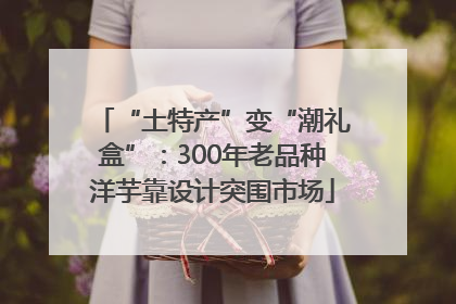 “土特产”变“潮礼盒”：300年老品种洋芋靠设计突围市场