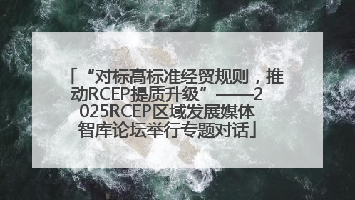 “对标高标准经贸规则，推动RCEP提质升级”——2025RCEP区域发展媒体智库论坛举行专题对话