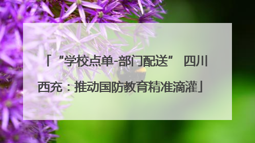 “学校点单-部门配送” 四川西充：推动国防教育精准滴灌