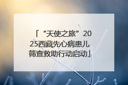 “天使之旅”2025西藏先心病患儿筛查救助行动启动