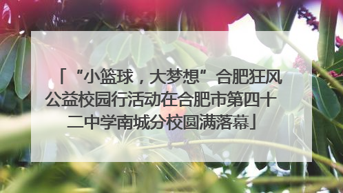 “小篮球，大梦想”合肥狂风公益校园行活动在合肥市第四十二中学南城分校圆满落幕