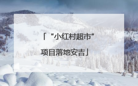 “小红村超市”项目落地安吉