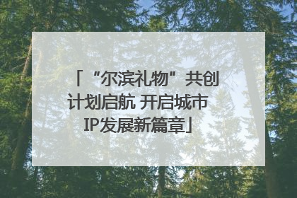 “尔滨礼物”共创计划启航 开启城市IP发展新篇章