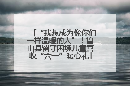 “我想成为像你们一样温暖的人”！鲁山县留守困境儿童喜收“六一”暖心礼
