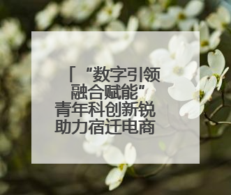 “数字引领 融合赋能”青年科创新锐助力宿迁电商名城建设活动成功举办