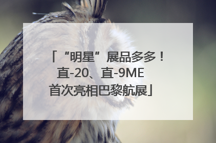 “明星”展品多多！直-20、直-9ME首次亮相巴黎航展