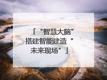 “智慧大脑”搭建智能建造“未来现场”