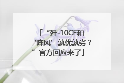 “歼-10CE和‘阵风’孰优孰劣？”官方回应来了