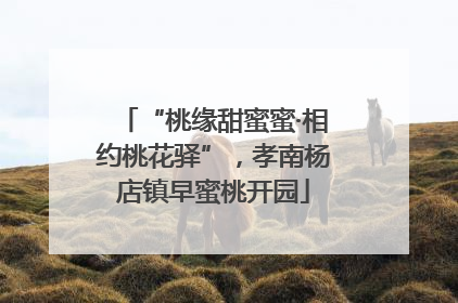 “桃缘甜蜜蜜·相约桃花驿”，孝南杨店镇早蜜桃开园