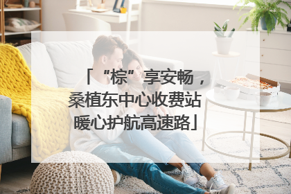 “棕”享安畅，桑植东中心收费站暖心护航高速路
