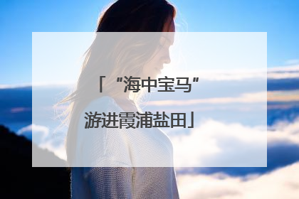 “海中宝马”游进霞浦盐田