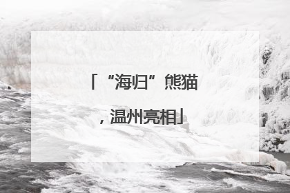 “海归”熊猫，温州亮相